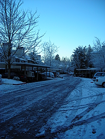 Property Photo 32968